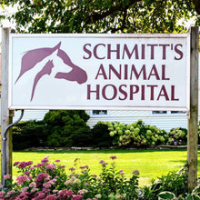 12/06/23 (6:30pm) - Schmitt Animal Hospital Team Building