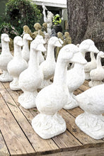 5/17/26 - 12pm - Porch Geese