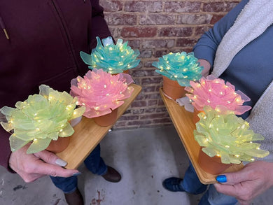 2/10/26 - 6pm - Sea Glass