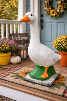 5/17/26 - 12pm - Porch Geese