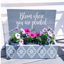 5/15/26 - 6pm - Porch Planters